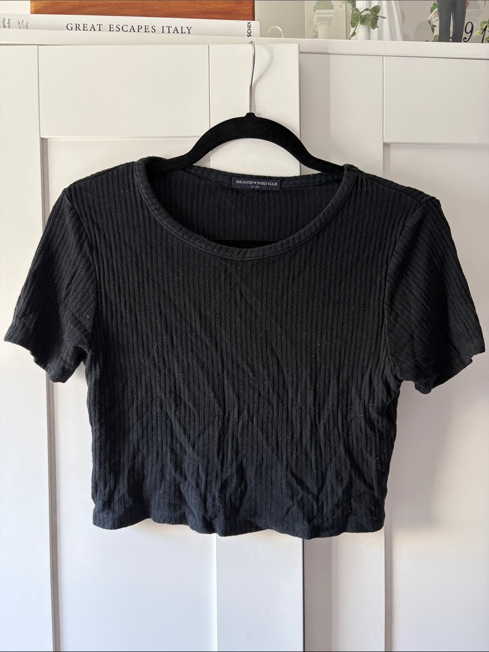 Brandy Melville Black Ribbed Short Sleeve Crop Tee